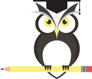An owl wearing a mortarboard is perched on a horizontal yellow pencil